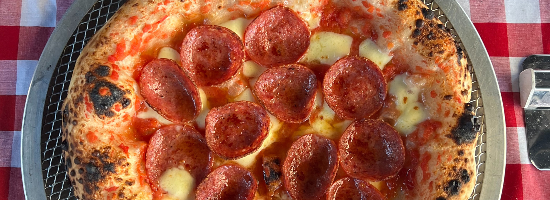 Gozney Dome (1920 x 700 px) (3)